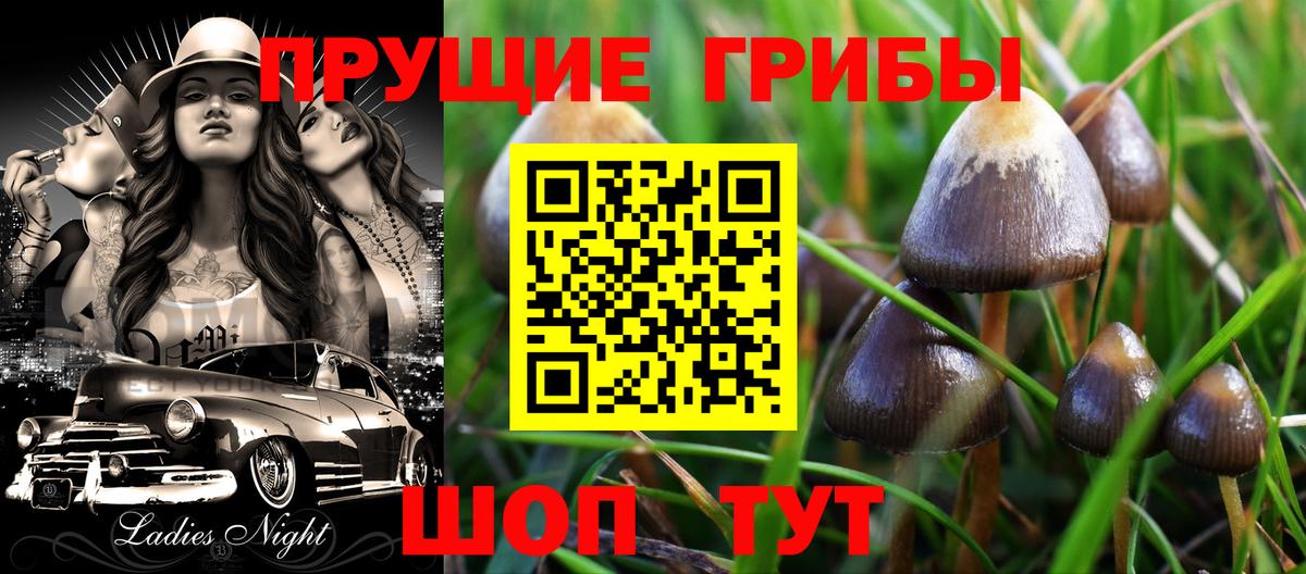 как найти закладки  Псилоцибиновые грибы ЛСД  Вход с VPN  Кимовск 