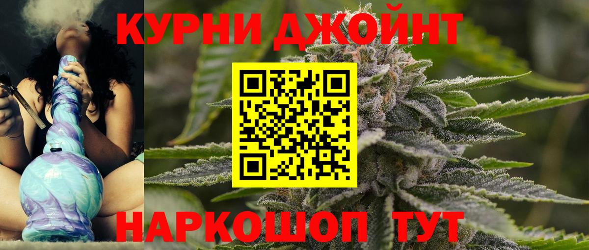 Каннабис сатива Кимовск